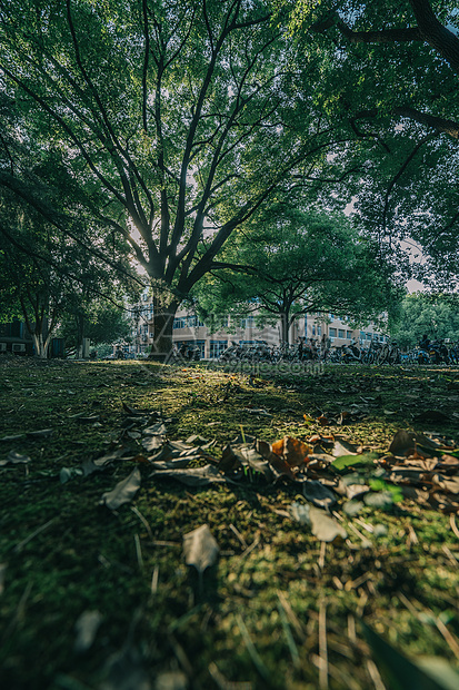 苏州大学图片