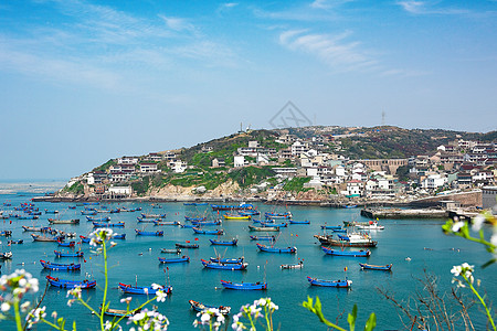 海上小岛枸杞岛渔船背景