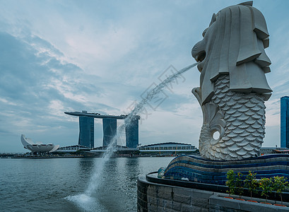 新加坡鱼尾新加坡狮头鱼尾像背景