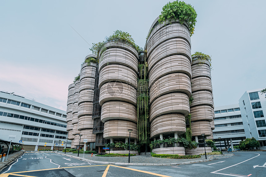 新加坡国立大学图书馆图片