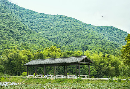 夏天山林凉亭图片