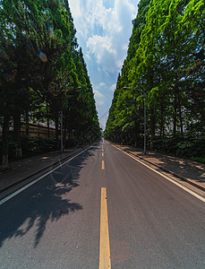 校园道路背景图片