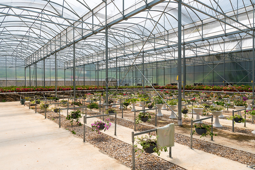花卉大棚