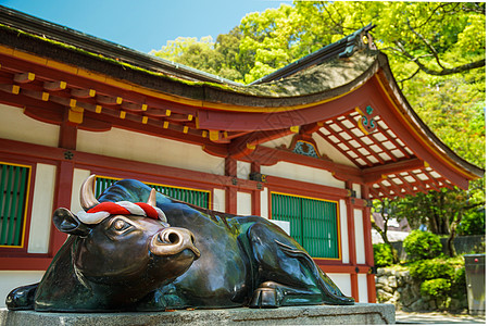 天满宫祈福日本福冈周边太宰府天满宫背景