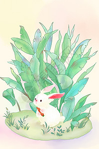 小兔子吃草图画图片