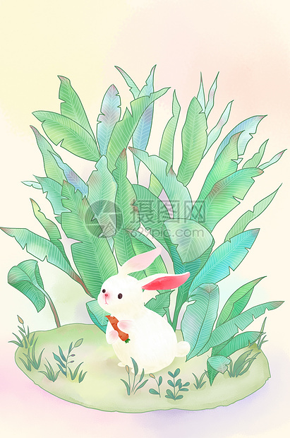 草丛里吃胡萝卜的萌萌哒小白兔图片