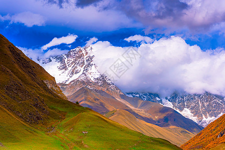 高山草甸图片