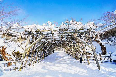 北海道渔场日本北海道五棱郭篱笆栈道背景