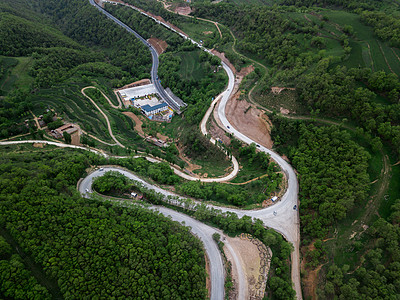 森林道路图片