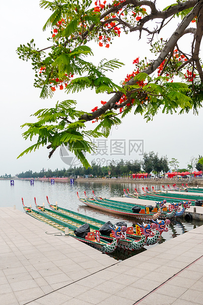 端午节龙舟图片