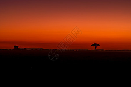 非洲草原的晨曦图片