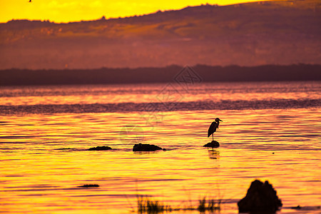 黄昏中的纳库鲁湖图片