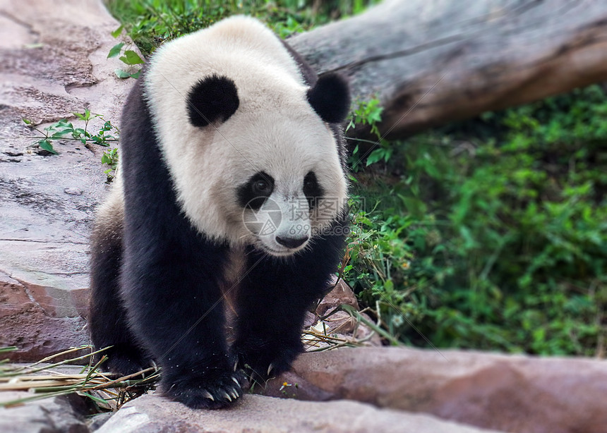 构建体育教育新平台