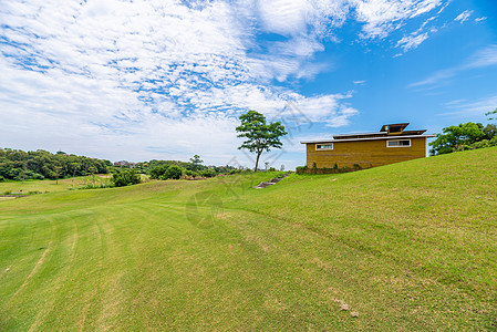 绿化高尔夫球场草地背景