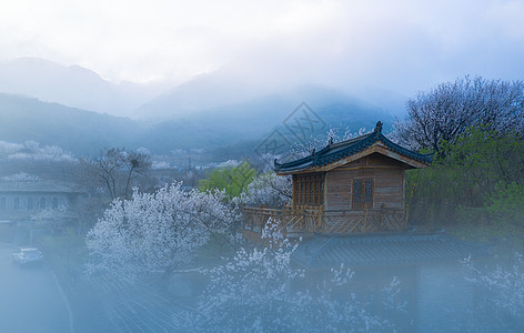 乌镇周庄自然风景图片