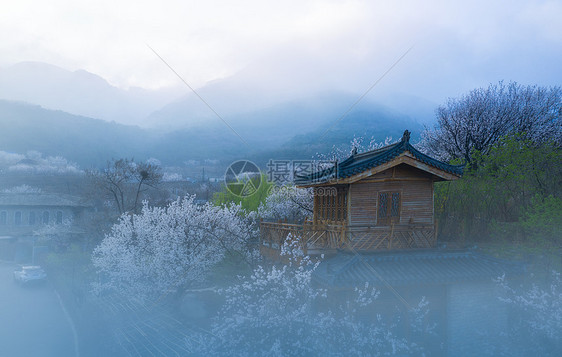 乌镇周庄自然风景图片