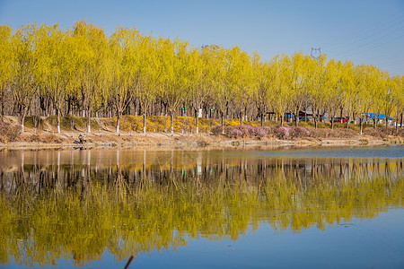 自然风景图片