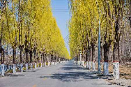 公路风景图片