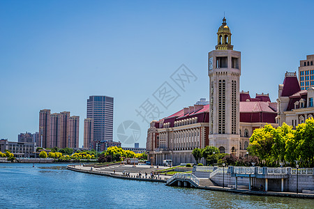 西洋蓍草天津风景津湾广场背景