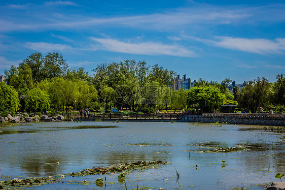 天津水上公园风景图片