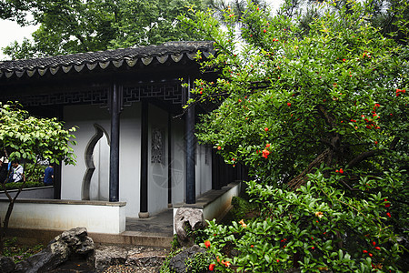 中式建筑亭子背景图片