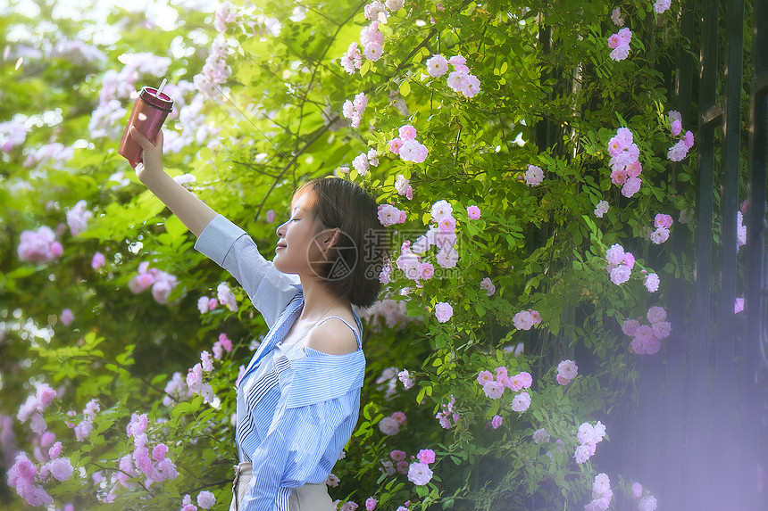 蔷薇夏季女孩图片