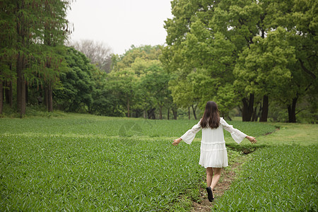 清新美女郊游背影背景图片