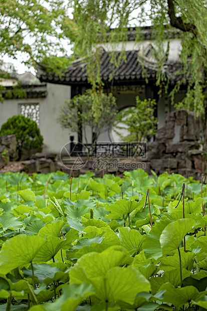 苏州中式古建筑图片