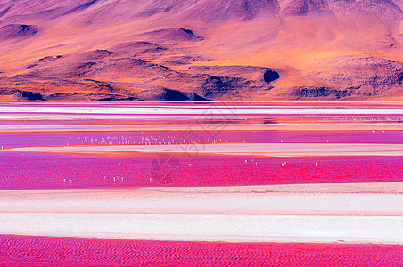 红湖风景背景图片