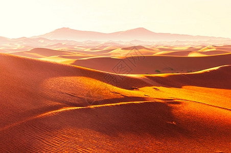 撒哈拉的沙丘图片