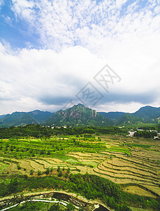 丰收梯田绩溪梯田与山脉背景