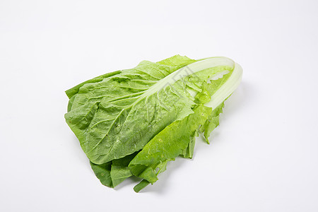 小白菜图片 小白菜素材 小白菜高清图片 摄图网图片下载