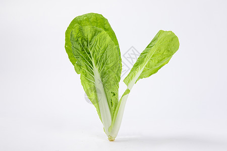小白菜图片 小白菜素材 小白菜高清图片 摄图网图片下载