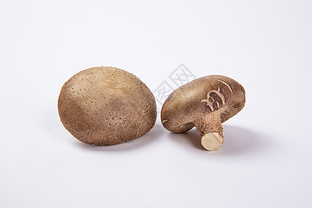 蘑菇香菇背景图片