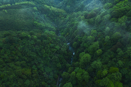 桂林森林航拍图片