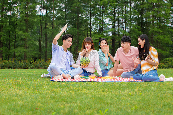 青年朋友聚会野餐图片