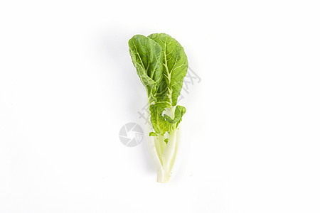 蔬菜青菜背景图片