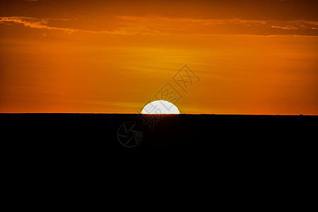 非洲草原日落图片