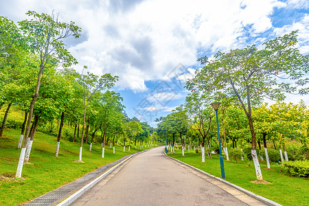园林道路蓝天绿树高清图片