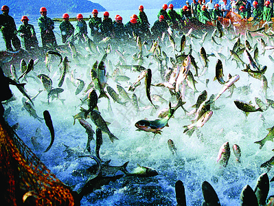 海鲜渔业图片