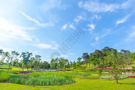 城市园林景观园林风光背景