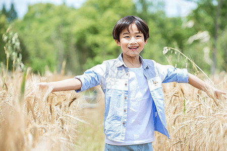 田野儿童小男孩稻田奔跑背景