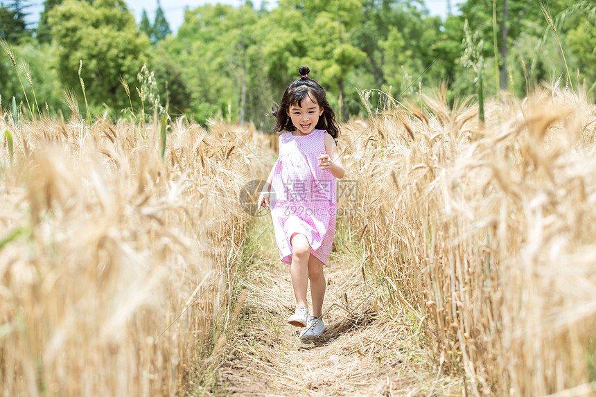 小女孩稻田奔跑图片