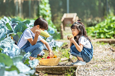 男孩女孩一起摘蔬菜图片