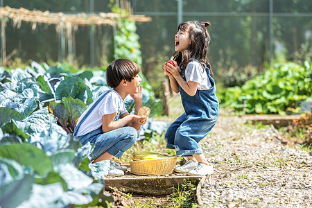 男孩女孩一起摘蔬菜图片