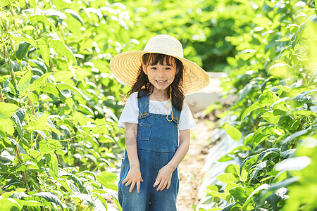 小女孩农场摘蔬菜图片