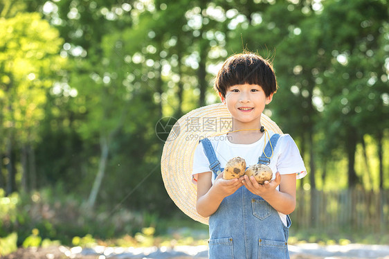 小男孩手捧土豆图片