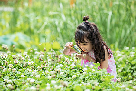 小女孩农场观察植物图片