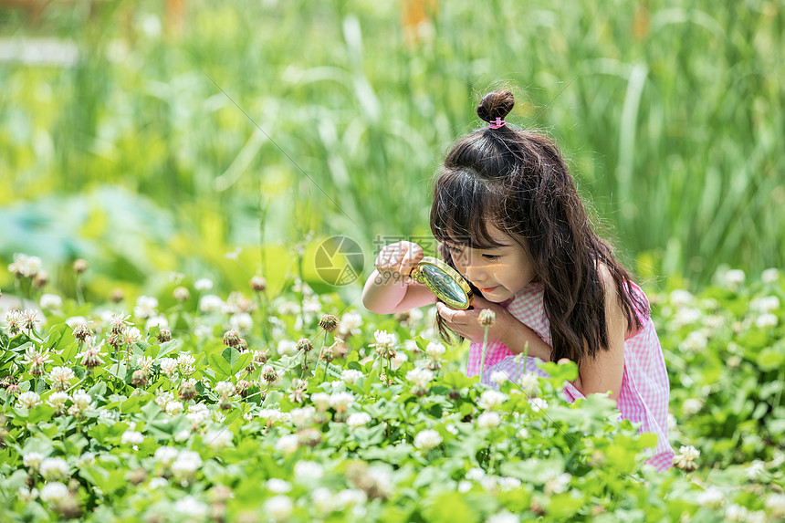 小女孩农场观察植物图片