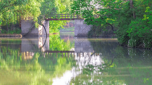 湿地植物西溪湖上石桥背景